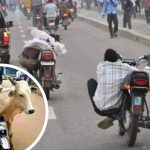 Top Crimes most Lagos okada riders commit on daily bases